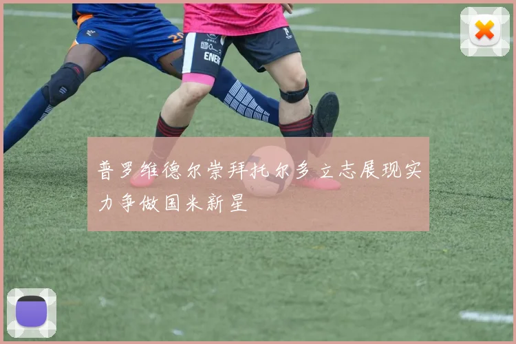 普罗维德尔崇拜托尔多立志展现实力争做国米新星