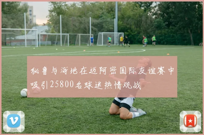 秘鲁与海地在迈阿密国际友谊赛中吸引25800名球迷热情观战