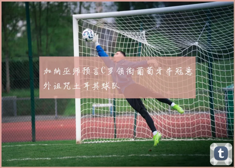 加纳巫师预言C罗领衔葡萄牙夺冠意外诅咒土耳其球队